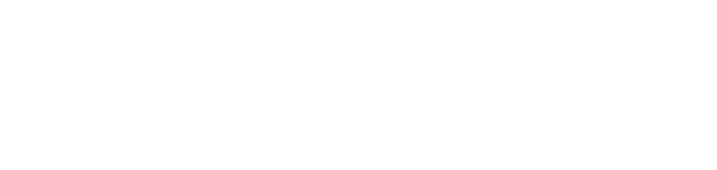 Palm Central Logo - Skyviewre Website
